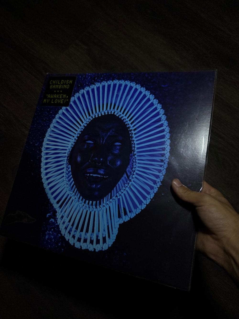 "Awaken My Love !" Vinyl